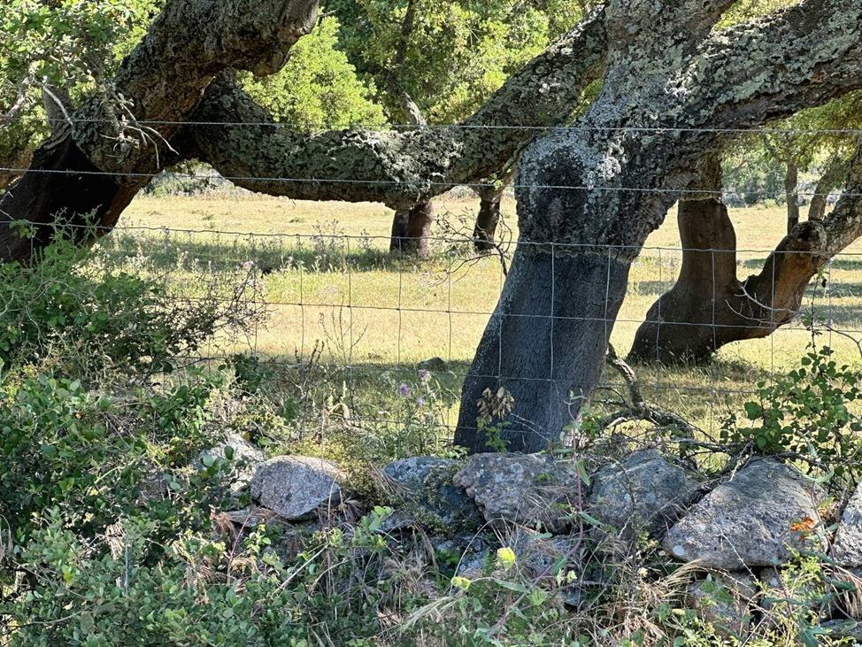 Torralba – Santa Teresa di Gallura