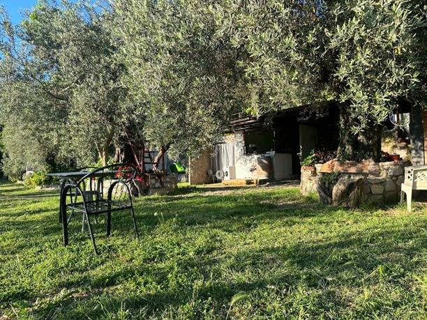 Buljarica – Buljarica