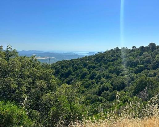 Santa Teresa di Gallura – Linguizzetta
