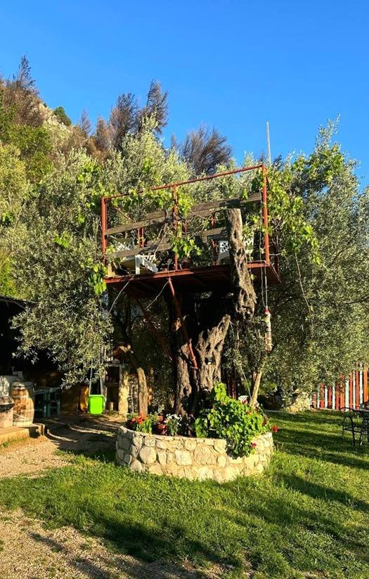 Buljarica – Buljarica