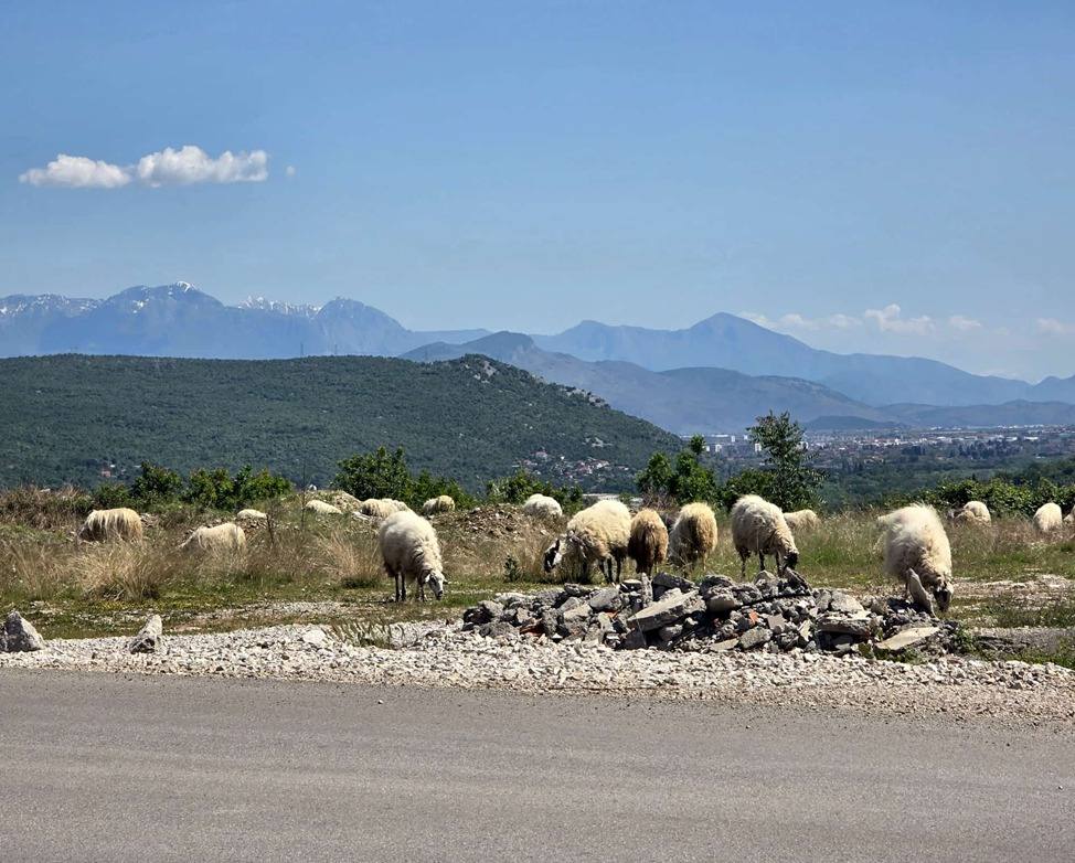 Novo Selo – Novo Selo