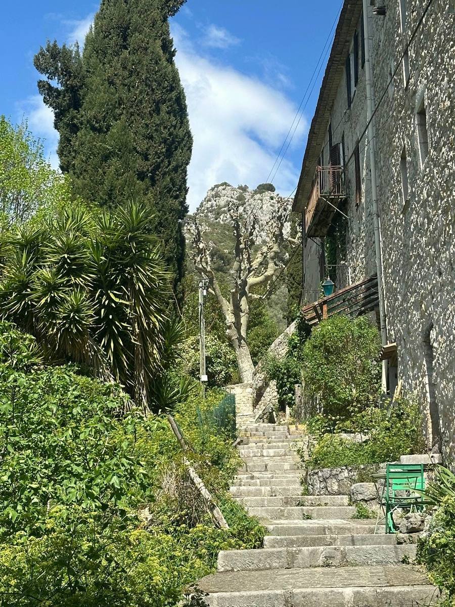 Salon de Provence – Camping de la Laune (Peillon)